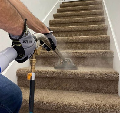Carpet Cleaning