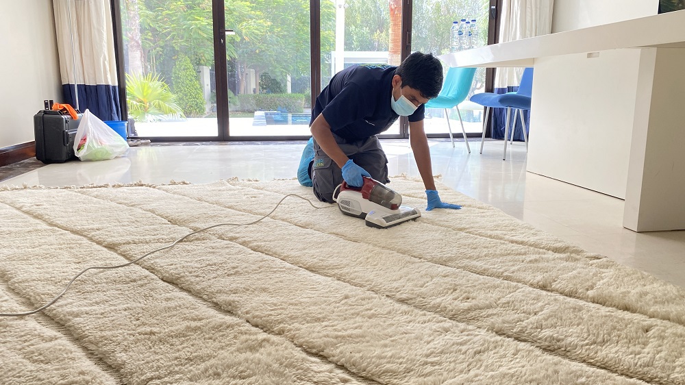 Carpet Cleaners