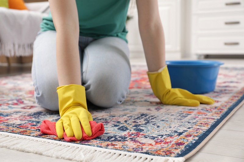 Carpet Cleaners