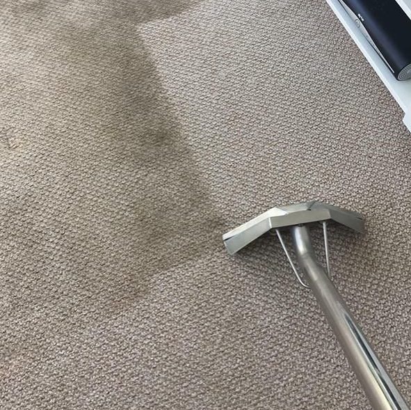 Carpet Cleaning