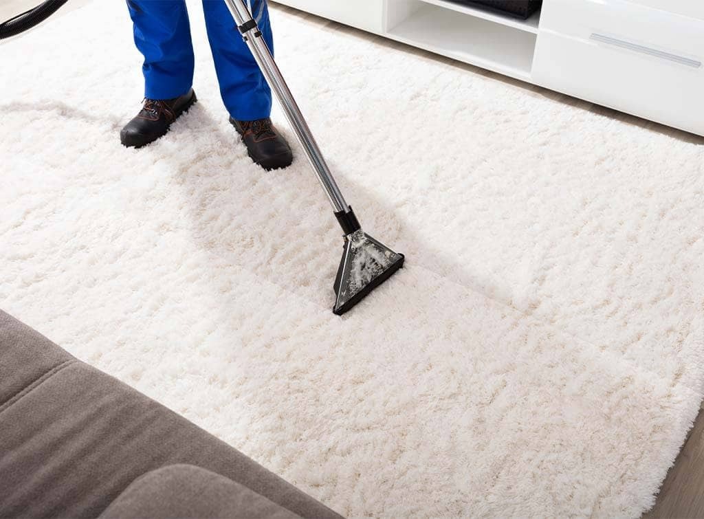Carpet Cleaning