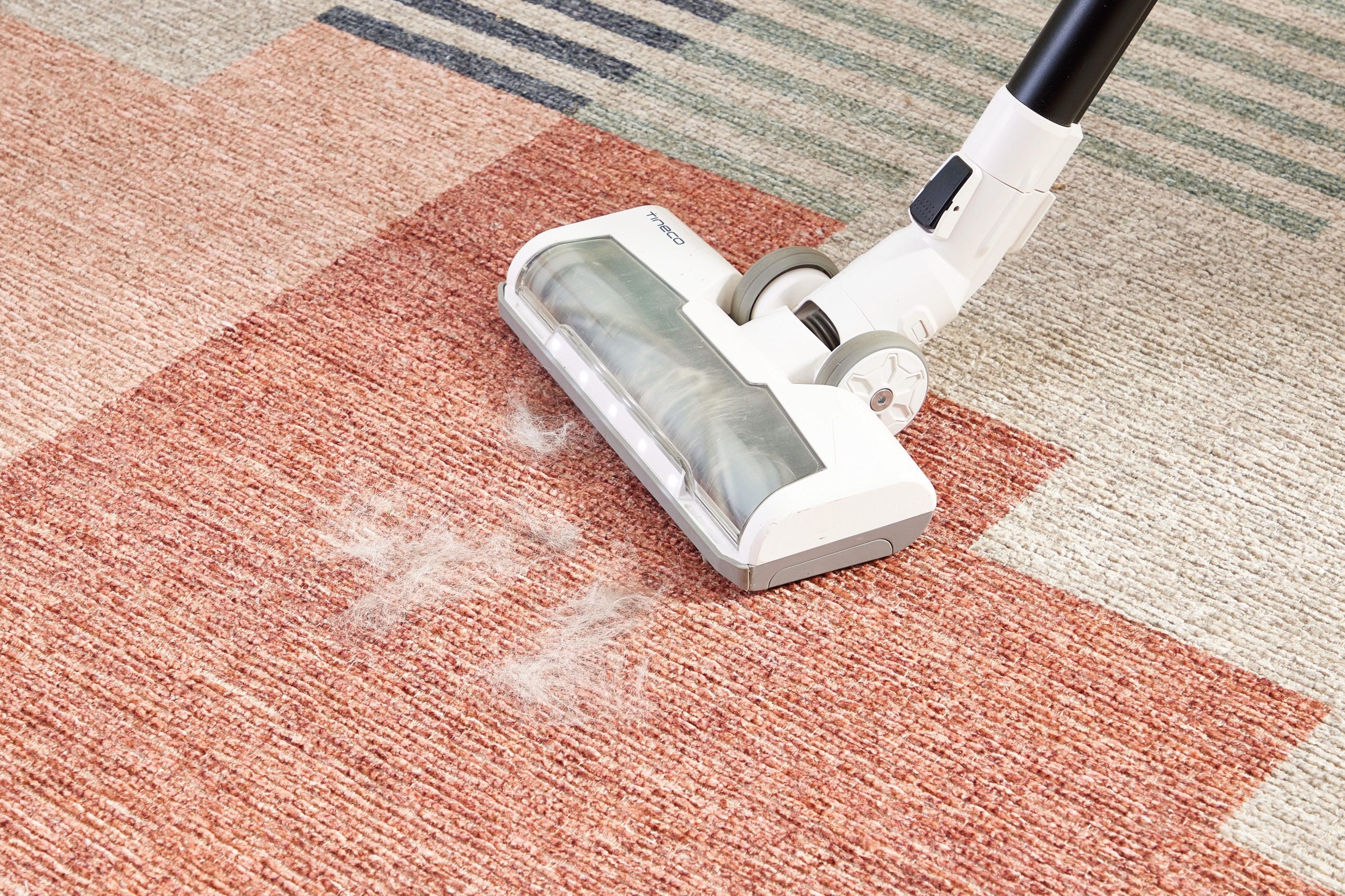 Carpet Cleaning