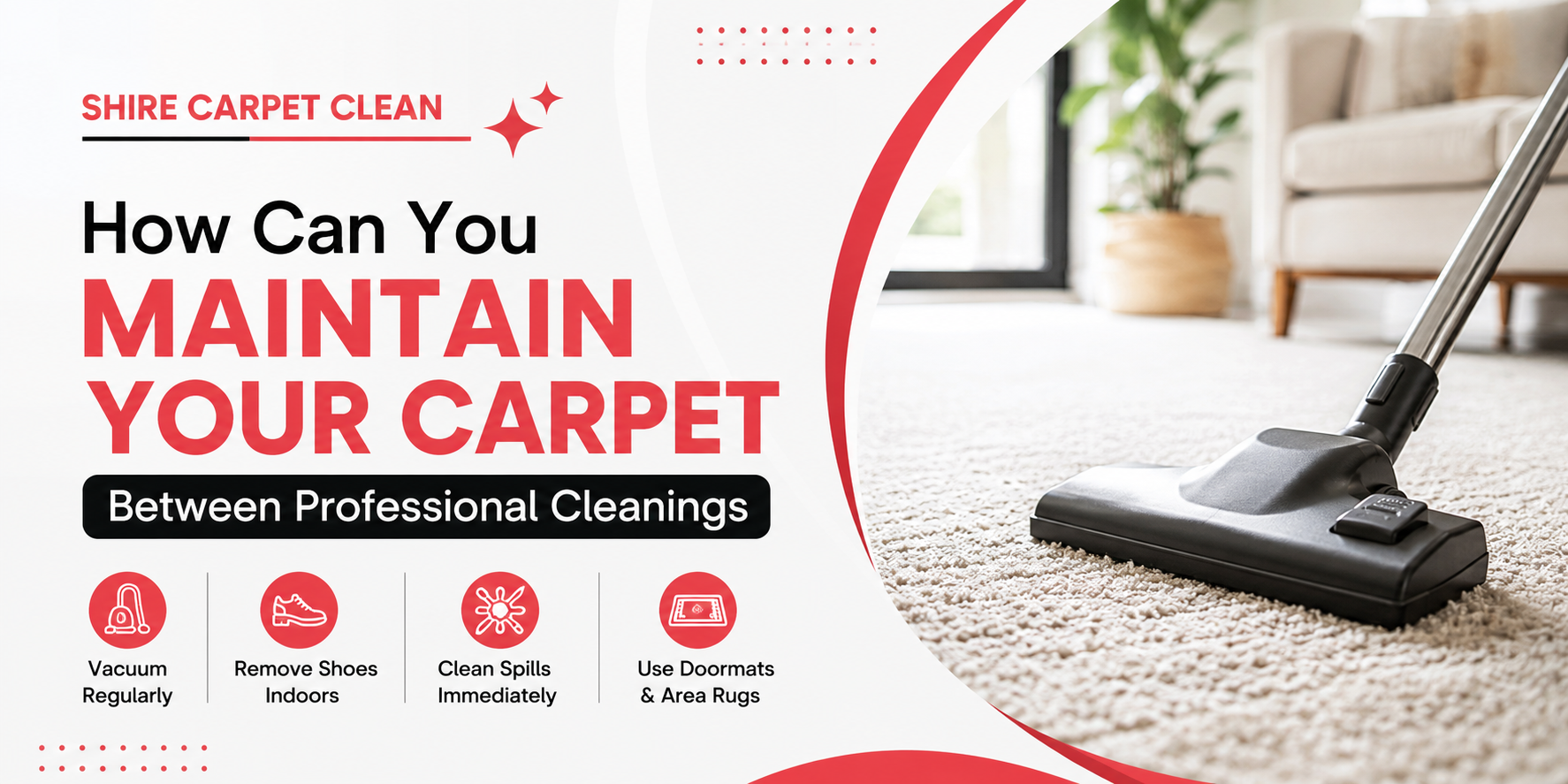 Carpet Cleaning